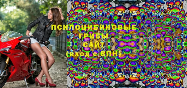 мдпв Покровск