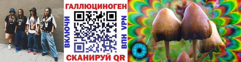 Псилоцибиновые грибы GOLDEN TEACHER  Краснообск 