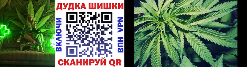 купить наркотики цена  нарко площадка как зайти  МАРИХУАНА сатива  Краснообск 